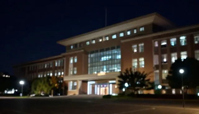 场景化影视策划如何实现资源整合优化